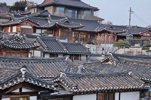 Bukchon Hanok Village: A Storytelling Walk with a Native