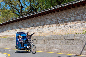 fietstaxitour door Bukchon en Dancheong-ervaring
