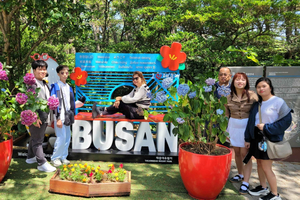 Hoogtepunten van Busan: dagtour vanuit Seoul met de KTX - Capsule-rit