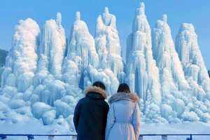 Cheongyang Ice Festival & Strawberry Picking