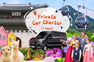 Op maat te maken privétour van 10 uur met chauffeur vanuit Seoul