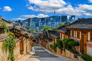Excursão Guiada Particular e Flexível em Seul (Escala Opcional em Incheon)