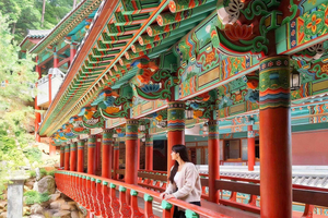 Da Seul: gita di 1 giorno alla scoperta della natura e delle principali attrazioni di Danyang