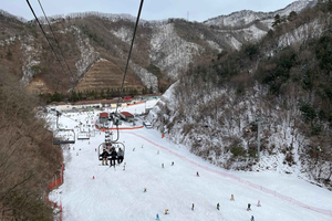 Fra Dagstur til Elysian Ski Resort