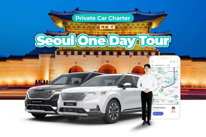 From Seoul - Full-Day Gyeonggi do Private Car Charter