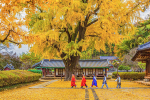 From Seoul - Jeonju Hanok Village Full-Day Tour
