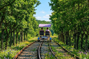 From Seoul - Private Nami Island & Gapyeong Tour w/ Driver