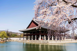 Highlights of Seoul Full-Day Tour