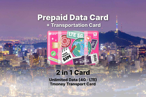 Aeroporto di Incheon: SIM per viaggiatori e carta di trasporto T-money