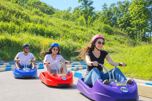 Desde Seúl: tour de los puntos destacados de Incheon: luge, ciclorraíl y ferri