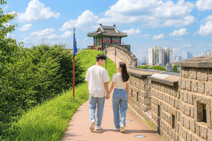 Séoul : Jangtaesan, Starfield Library et excursion à Suwon