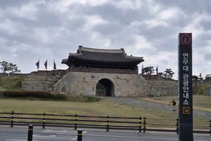 Layover tour from Airport to Suwon Hwaseong Fortress