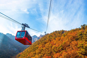 Seúl: follaje otoñal del monte Daedun y Museo Nacional de Buyeo