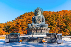 Mt Seorak & Naksansa Temple or Nami Island Group Tour