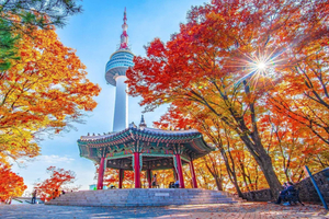N Seoul Tower Observatory & Cable Car Combo Ticket