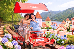 Nami Island, Petite France and Gangchon Railbike from Seoul