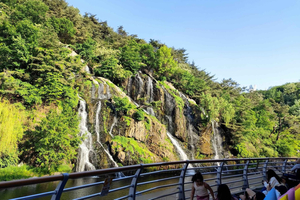 Nature Walk near Hongdae with Local Guide