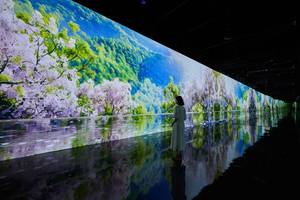 Paju: toegangsbewijs voor de meeslepende mediakunstexpositie van Museum HEI