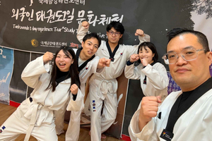 Seul: autentyczne koreańskie taekwondo – atrakcja premium