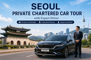 Private Chartered Car Tour with Expert Driver