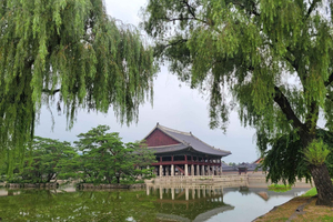 Private Guided Layover Tour from Incheon Airport