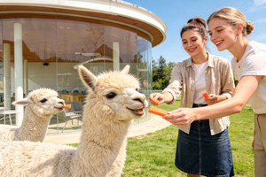Seasonal Nami Island Tour and Optional Activities