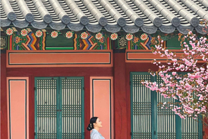 Seoul Day Tour: Gyeongbok Palace, Bukchon, Gwangjang Market