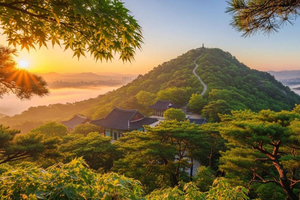 Seoul Sunrise & Sunset Hike + Temple & K-Food Adventure