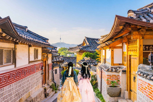 Small Group Seoul Highlight Tour with Palace & Tea Ceremony