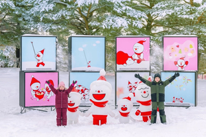 Snowy Land, Alpaca World, and Strawberry Picking from Seoul