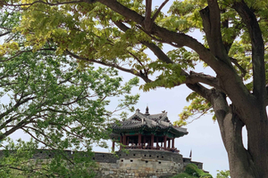 Suwon: historia y degustación con postre real y té