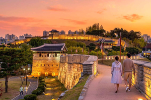 Suwon: Hwaseong, Starfield Library, and Hangnidan-gil Tour