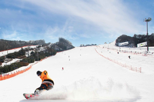Vivaldi Park Winter Ski with Eobi Ice Valley Day Tour