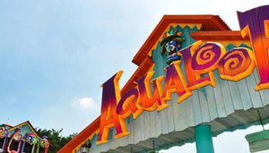 Caribbean Bay