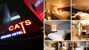 Cats Hotel