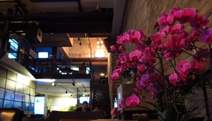 Concert Lounge