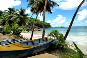 Mahé Island: Private 4-Hour Tour with Pickup & Scenic Stops
