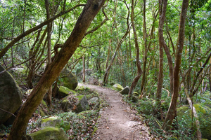 Mahé: Private Nature Hike, Choice of 4 Trails for 1-4 Guests