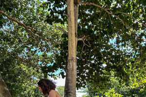 Praslin: Private Half Day Cruise, snorkeling & Island Walk