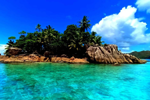Snorkeling St-Pierre Marine Park and Anse Petite Cour