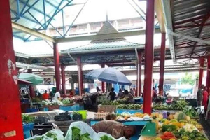 Spice Tour and Shopping Experience