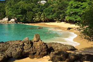 Victoria: Tour with Beach Stops and Snorkeling,