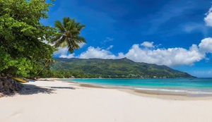 Cleanse Seychelles