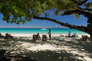 Passion Service / Excursionl beach bed rentals