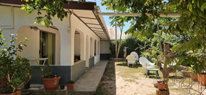 Rising Sun Guesthouse
