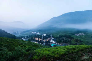 2-Day Moganshan Mountain & Bamboo Forest Retreat