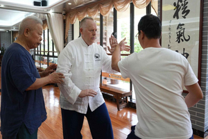 Authentic Kung Fu & TCM or Massage (Half-Day)
