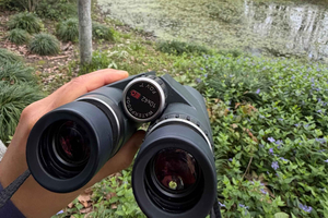 Birdwatching Tour in Urban green spaces