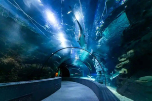 Shanghái: ticket de entrada a Changfeng Ocean World