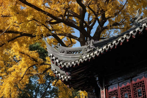 China Hollywood and Yiwu-the offline Temu commercial heaven